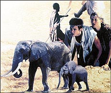 A scene from Lost in Africa
