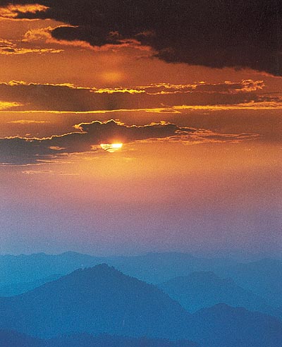 The many hues of paradise
