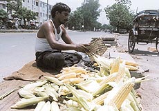 A hawker roasting corn.