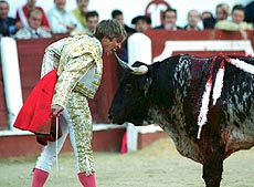 Spanish bullfighter