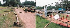 Workers are busy removing tents and other items from the Sector 16 Rose garden after the conclusion of the Festival of Gardens in Chandigarh on Monday