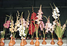 Entries at a flower show 