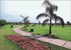 Lush green lawns and colourful flowers will greet the visitors to Spring Fest - 99 at Town Park in Sector 5 of Panchkula 