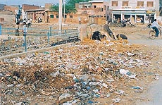 Garbage strewn behind the bus stand