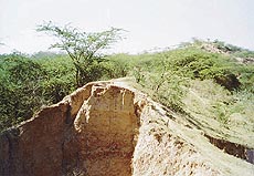 Soil erosion has taken its toll. The walls of what used to 