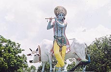 The statue of Lord Krishna at the gaushala complex