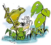 Illustration by Rajiv Kaul
