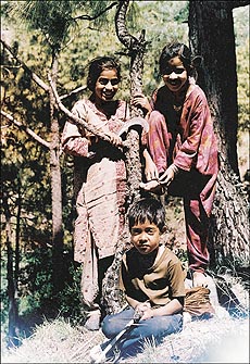 Children and trees: Give them freedom to grow