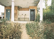 An unused public toilet block in the Sector 2 market of Panchkula surrounded by wild growth.	— A Tribune photograph