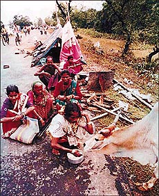 Hunger.... A cow tries to snatch food from a woman in Orissa’s Balasore district 
