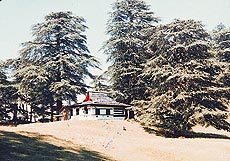 The Nag temple at Naldehra