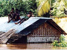 Three boys guard their flooded home