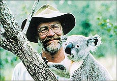 A scientist with a kaola... Saving the endangered