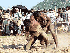 A view of wrestling