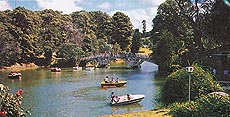 Boating is one of the innocent pleasures on Ward’s Lake