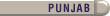 Punjab News