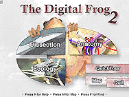 The opening page of the CD-ROM entitled "The Digital Frog 2." The CD-ROM can be used as a "virtual scalpel" by high school students to slice into an image of a frog rather than operating on a real amphibian, as part of a biology class. — AP/PTI