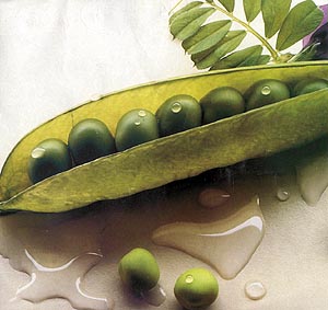 Vegetables supply essential vitamins, minerals and fibre without adding fcalories to your diet