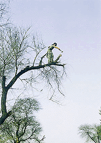 March 8 is International Women’s Day. Women have scaled new heights, and are ahead of men in several fields. But isn’t this height a bit too much? 