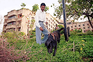 Sniffer dog of the Delhi Police pressed into service on the premises of the Maurya Sheraton Hotel in New Delhi on Friday, where the US President Bill Clinton would be staying during his official visit to India from Sunday.