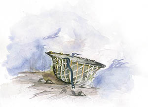 Illustration by Rajiv Kaul