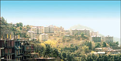A concrete jungle raised by the HP Housing Board at Shoghi near Shimla