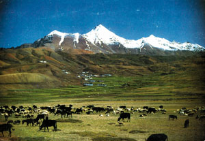 A village in Spiti