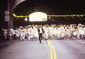 Bachelor: Predictable fare