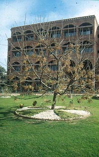 The leafless Dhek