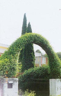 A welcome arch