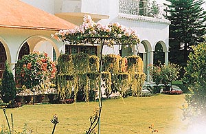 A central display with baskets