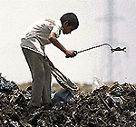 Deepak, a 11-year-old boy, scavenges for plastic throw-aways from a garbage dump in New Delhi  to supplement his family's income while the world celebrates Environment Day on Monday.  AFP photo 