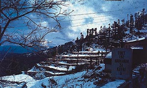 Breathtaking as ever: Shimla 40 years ago