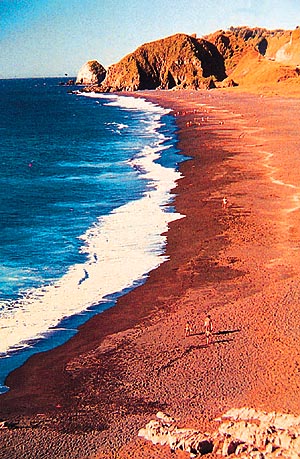 There are some beautiful beaches on the sea coast