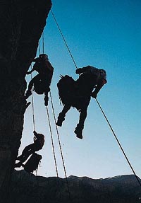 Discovery Eco Challenge,... Only the fittest survive.
