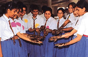 Students show mehndi patterns made on their hands during the contest.  Photo by Inderjeet Verma