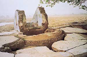 Ruins of the well under the tree