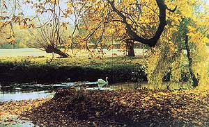 The gardens of the Old Vicarage