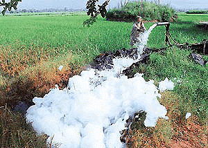 Tubewells, along the Sukhna choe, near Dera Bassi, are spewing white froth and a foul smell, a clear indication of pollution. 
