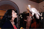 A model admires a Silver Eagle at Frazer and Haws fine silverware and jewellery exhibition in Mumbai on Thursday.