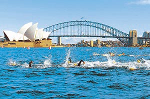 Competitors men's Triathlon swim past the Sydney opera House