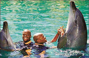 Participants having fun with dolphins