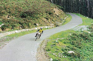 The event is open to bikes as well