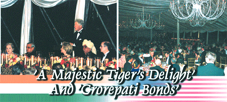 'A Majestic Tiger's Delight' And 'Crorepati Bonds'