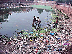 Stagnant water near Model Town Extension in Ludhiana. Such sites are perfect breeding grounds for aedes mosquito that spreads dengue fever.