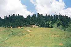 At present, only gujjars reside in the sesitive Padri Gulli area in J&K. Photo by the writer