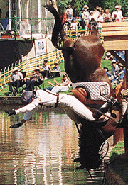 New Zealand rider Gillian Meacham falls from her mount Hynds Pipe Mulberry Walk at the water jump at the Adelaide international horse trials on Saturday.