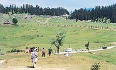 The best way to explore Gulmarg is on horseback 