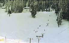 Skiing is a major tourist attraction in winter 