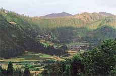 Janjheli, a refreshing break from routine holidays, offers exciting one-day treks